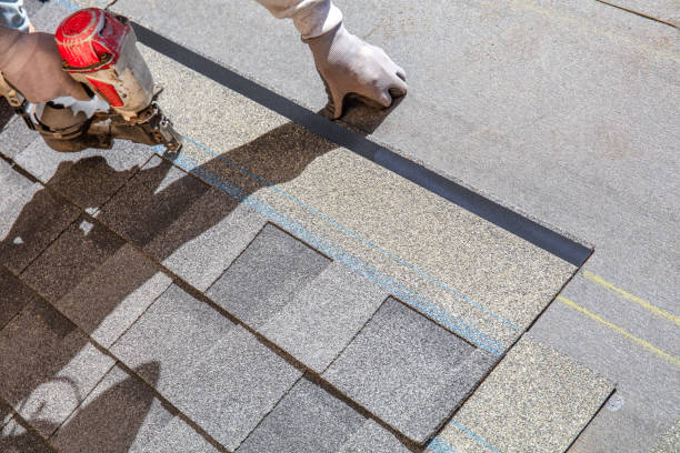 Best Roof Gutter Cleaning  in Eaton Estates, OH